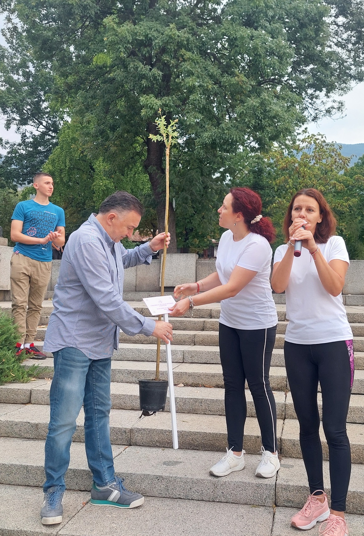 12 Японска върба.jpg